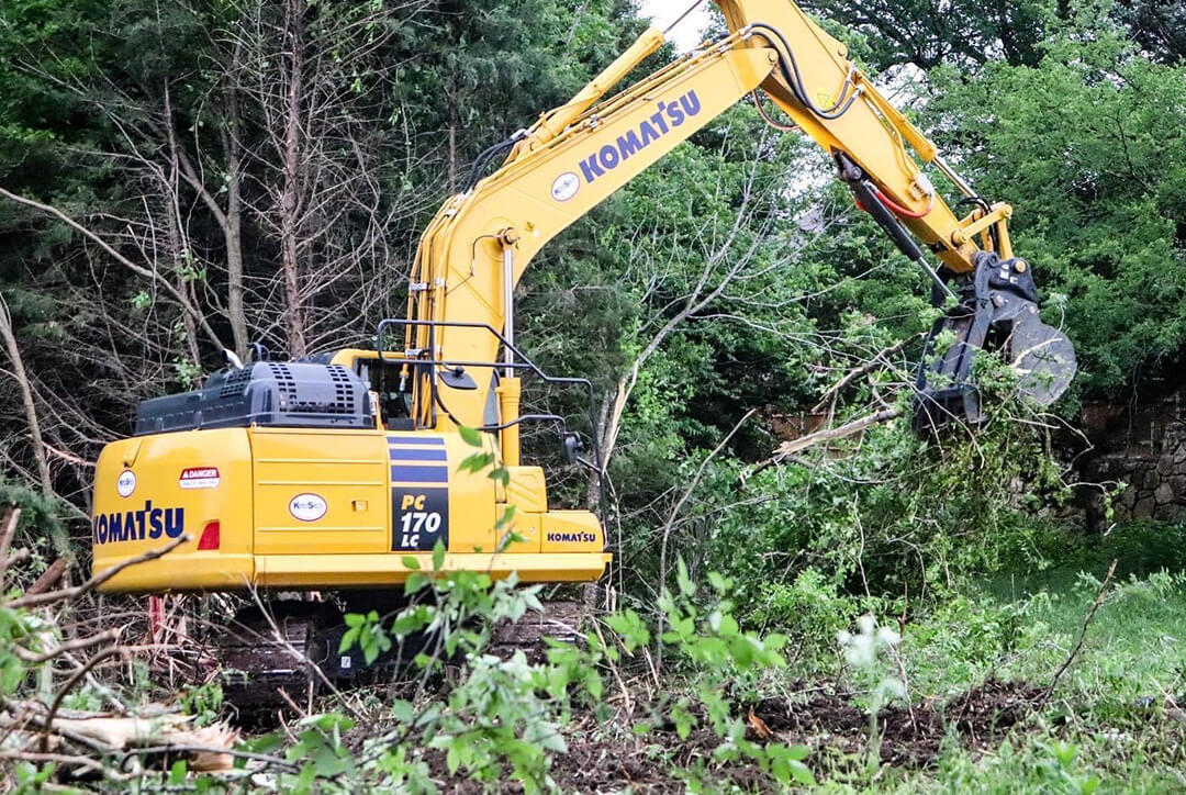 land-clearing